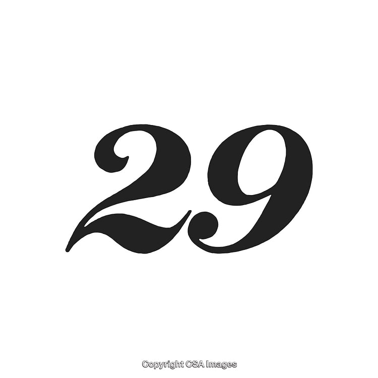 Elegant Artistic Number 29 in Elaborate Black Stylized Font
