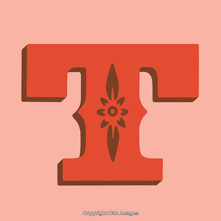 Stylized Letter T with Decorative Floral Motifs on Pink Background
