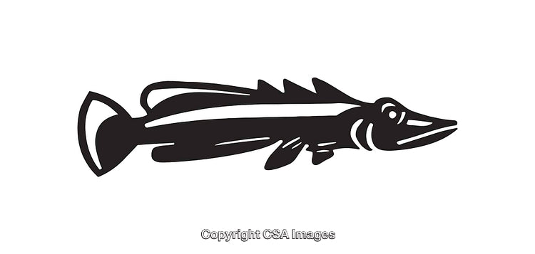 Black and White Artistic Silhouette of a Fish Design Illustration