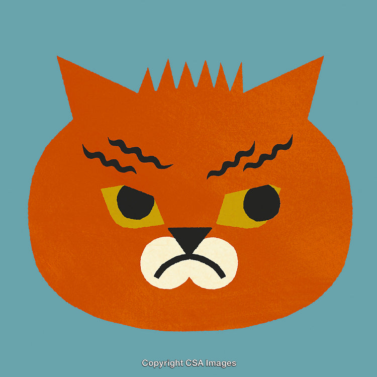 Expressive Angry Cartoon Cat Illustration on Solid Blue Background