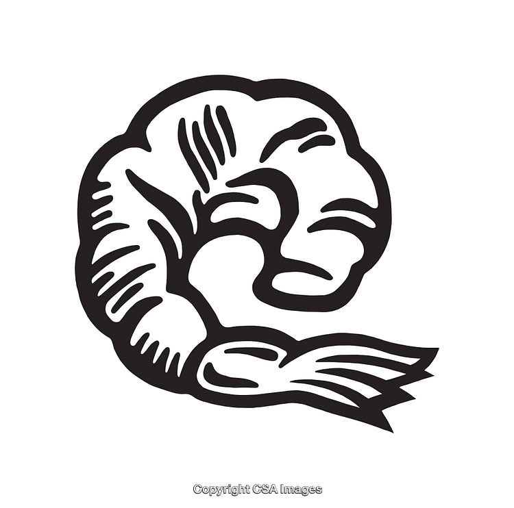 Black and White Line Art Illustration of a Shrimp