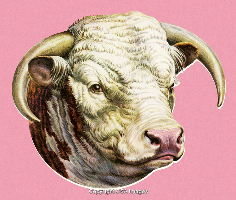 Illustration of a Bull's Head on a Pink Background