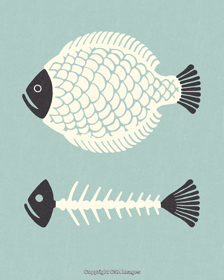 Illustration of Fish Skeleton and Whole Fish on a Blue Background
