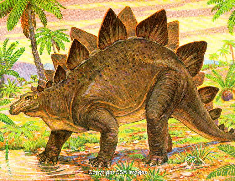 Stegosaurus Dinosaur Strolling in Prehistoric Jungle Landscape Under a Sunset Sky
