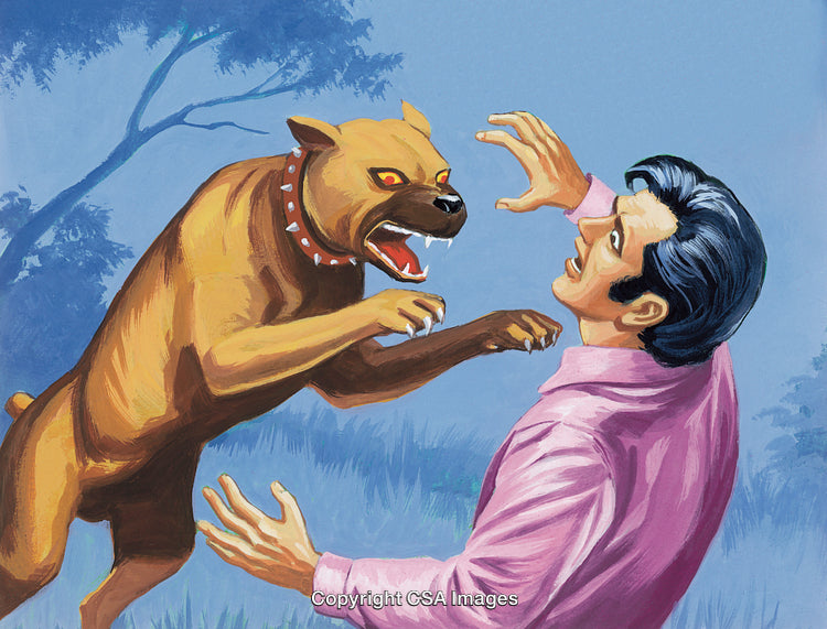 Man Defending Himself Against Aggressive Dog in Intense Outdoor Encounter