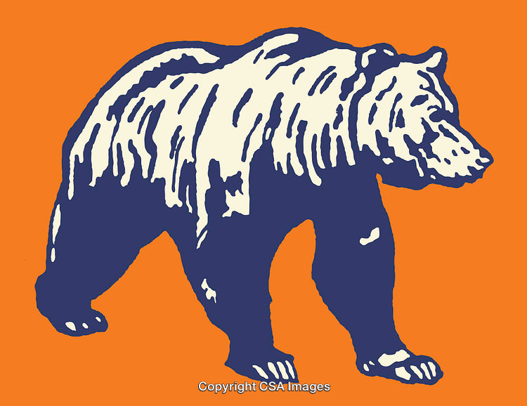 Illustration of a Bear Silhouette in Vibrant Colors on Orange Background