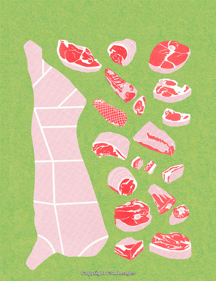 Various Cuts of Meat Illustrated Against a Green Background