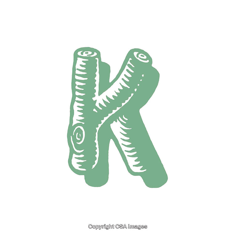 Green Illustrated Letter K Shaped Like Wooden Branches on White Background