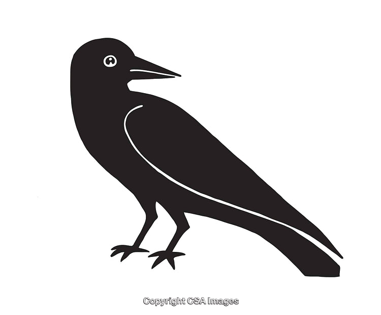 Simplistic Black and White Silhouette of a Crow Icon