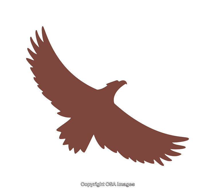 Eagle Silhouette Spreading Wings in Flight Depicted as Minimal Icon Design