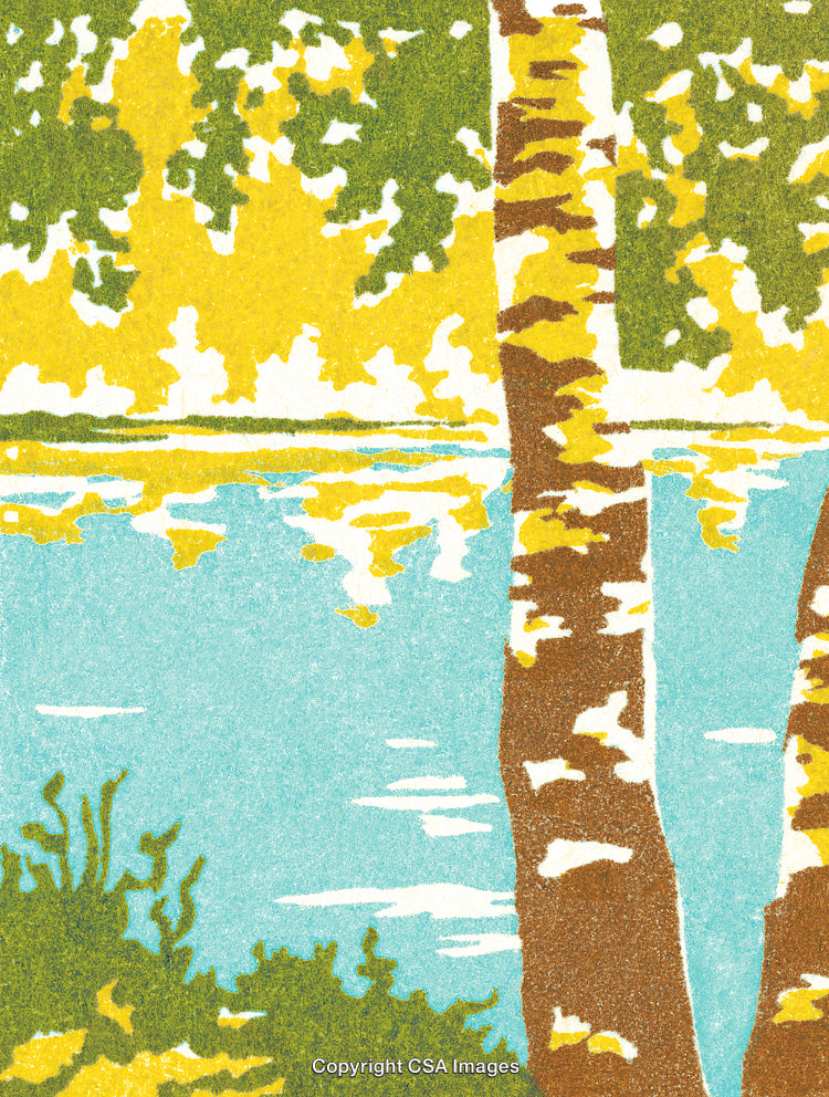 Serene Lake Scene with Birch Trees and Reflecting Water