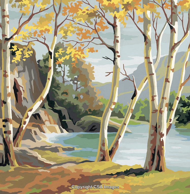 Nature Illustration of Birch Trees by a Calm Water Shoreline