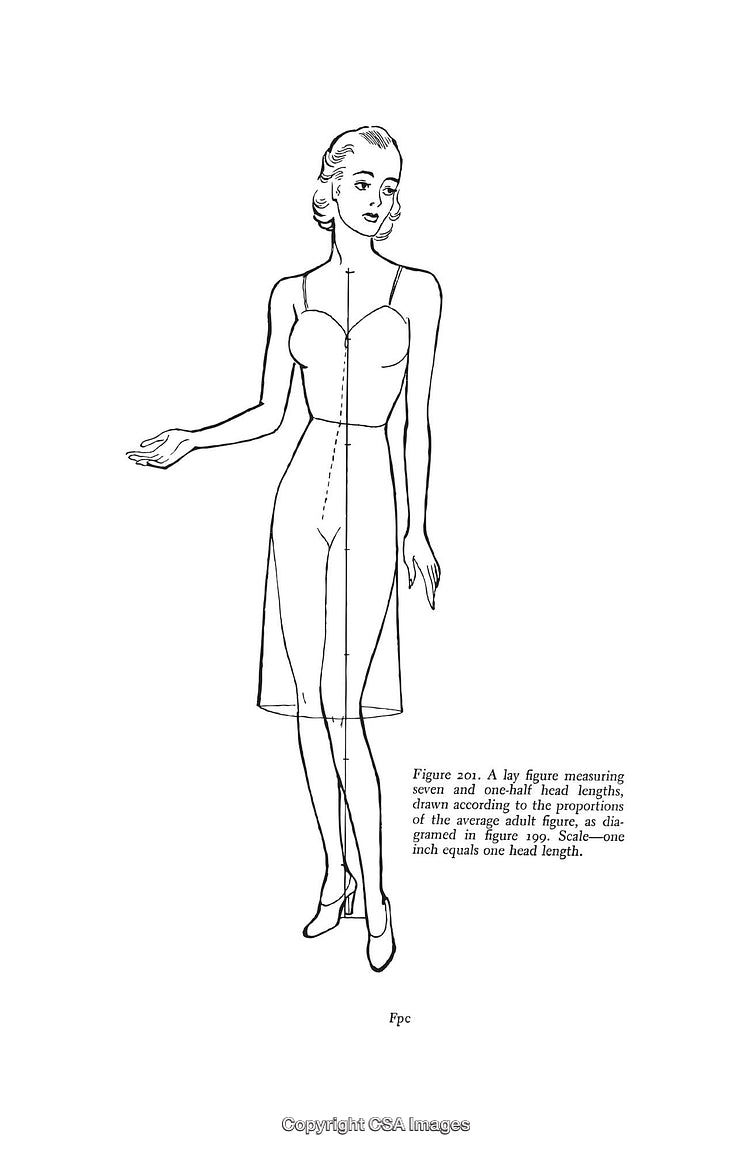Detailed Black and White Illustration of a Proportional Human Figure Diagram