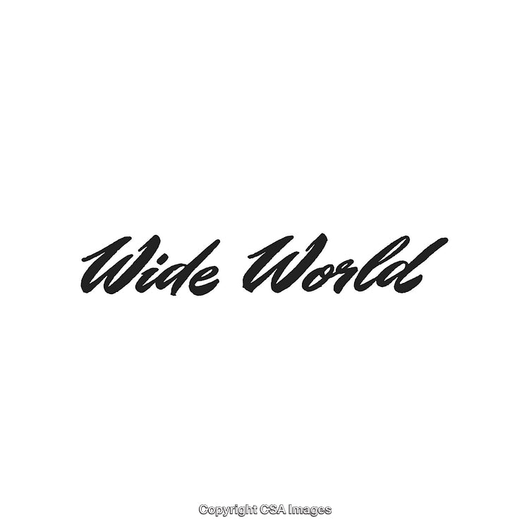 Elegant Brush Lettering Displaying 'Wide World' on Clean Background