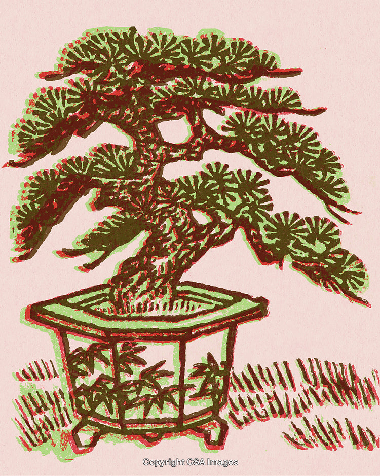 Stylized Illustration of a Bonsai Tree in an Ornate Planter