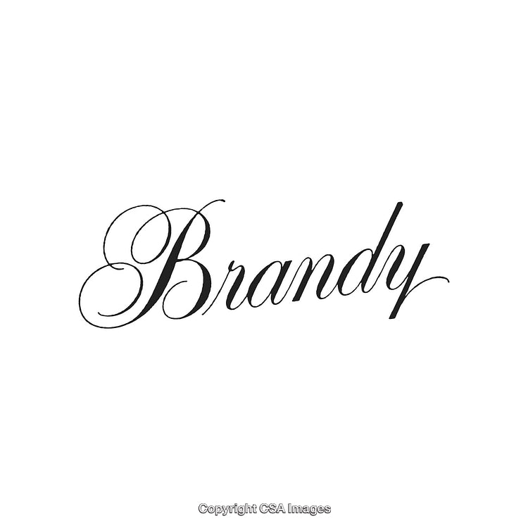Elegant Black Calligraphy of the Word 'Brandy' on a White Background