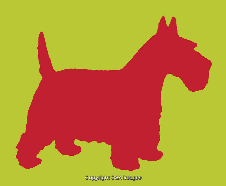Colorful Silhouette of a Dog on a Vibrant Background