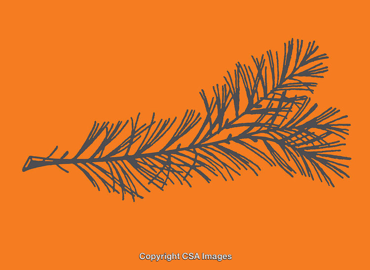 Minimalist Black Twig Illustration on Vibrant Orange Background