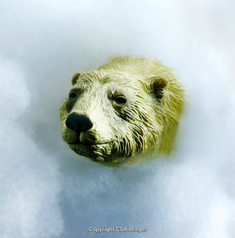 Animal Figurine of a Bear Surrounded by Soft White Material in Focus