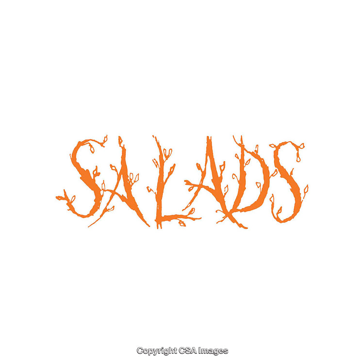 Orange Artistic Text Depicting the Word 'Salads' in a Stylistic Font