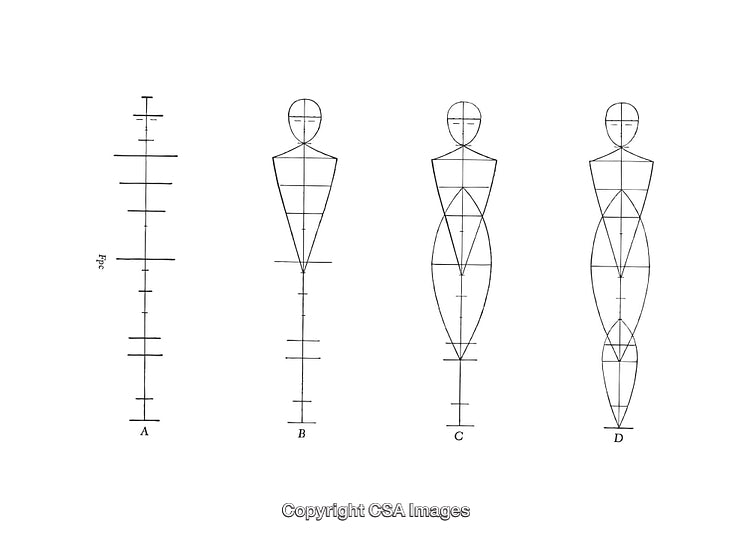 Detailed Black and White Human Anatomy Diagrams in Progressive Stages