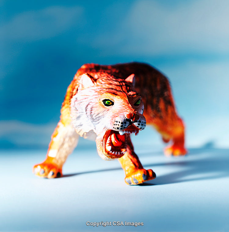 Close-Up Of Fierce Tiger Toy Figurine Against Blue Background