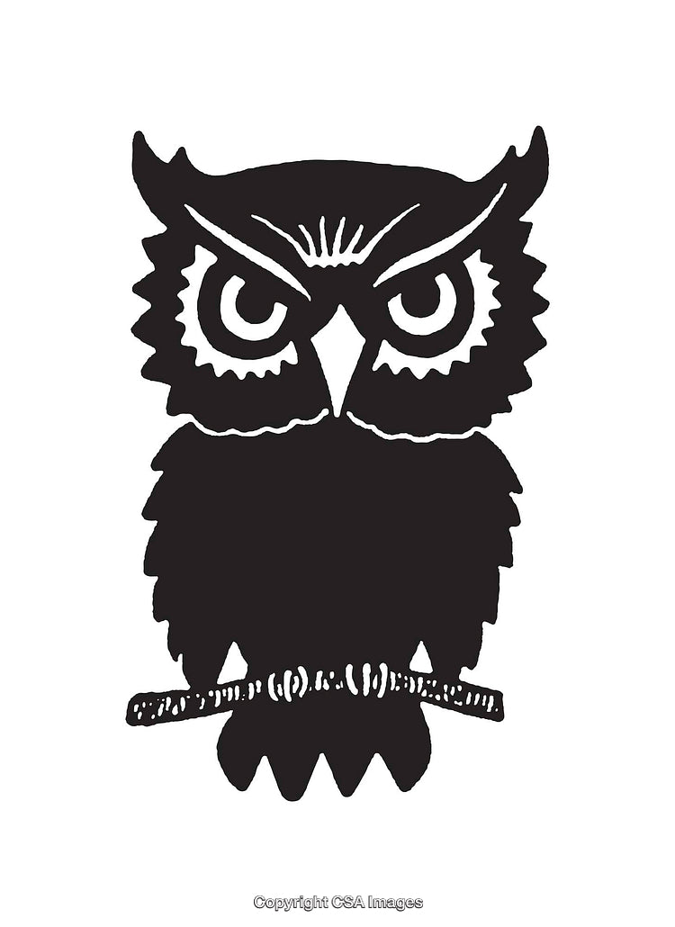 Black and White Line Art of a Stylized Owl on a Branch