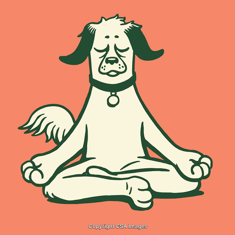 Cartoon Dog Practicing Meditation with Eyes Closed on Vibrant Orange Background
