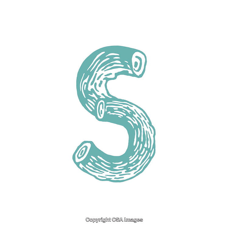 Artistic Depiction of the Letter S in Unique Creative Design Style