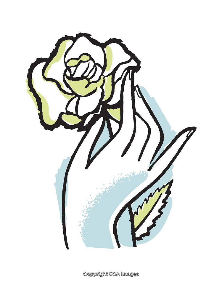 Elegantly Illustrated Hand Holding a Rose Flower in Artistic Style