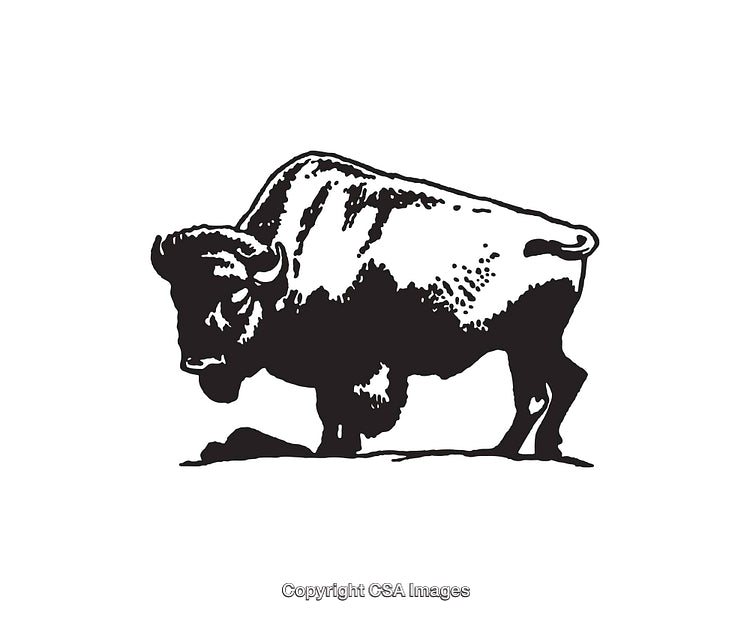 Monochromatic Line Art of a Bison Standing in Profile View
