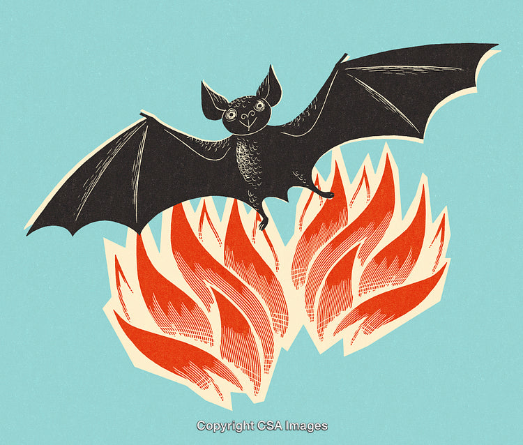 Illustration of a Flying Bat Over Vibrant Flames on a Blue Background