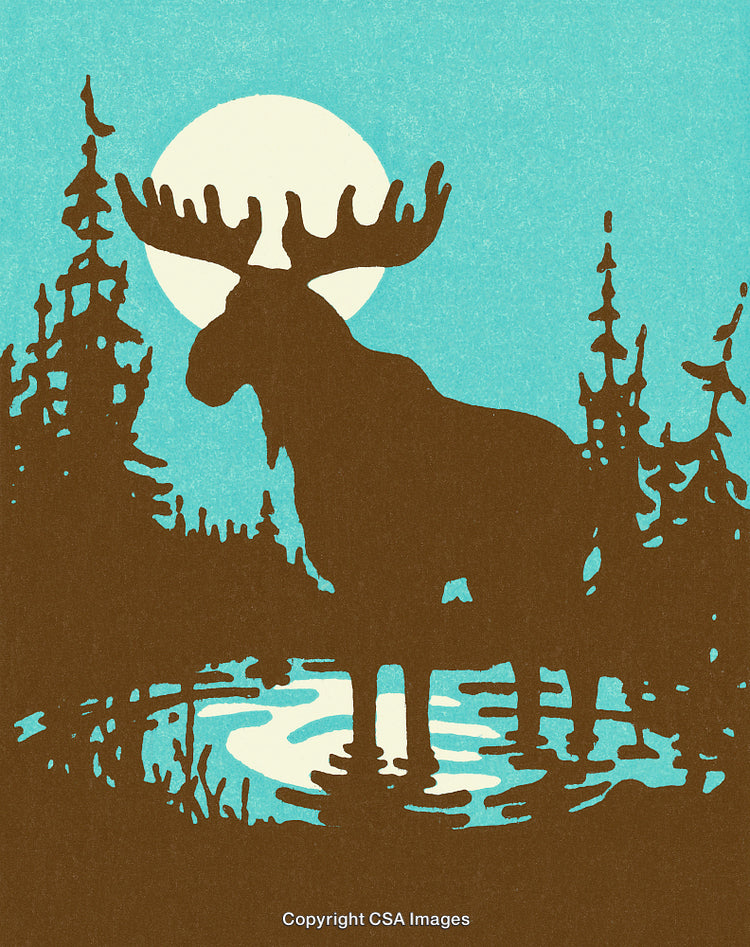 Silhouette of Moose Against Moonlight Reflected on Pond Near Pine Trees