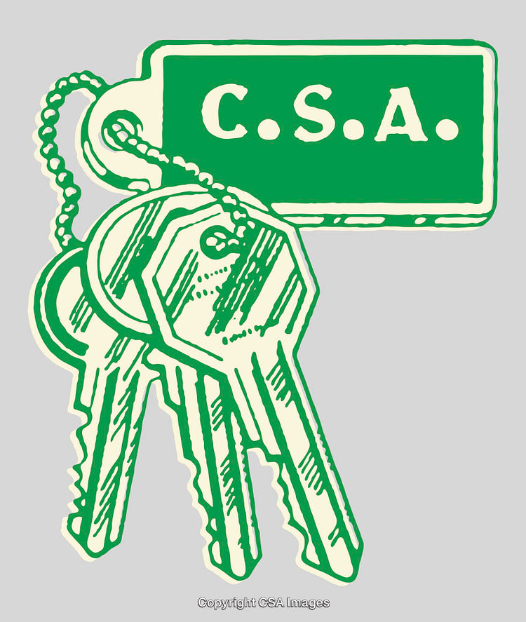 Monochrome Green Keys with CSA Tag Graphic Illustration