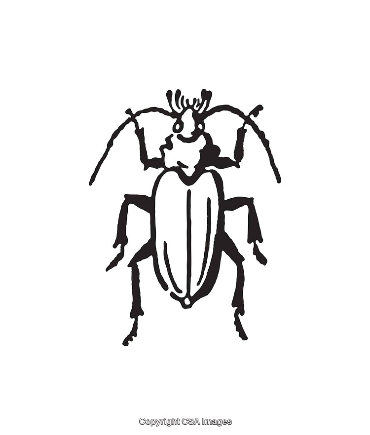 Black and White Line Art Illustration of a Stylized Beetle Drawing