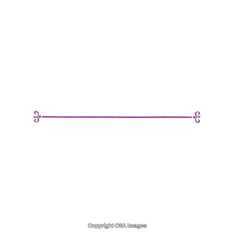 Elegant Purple Floral Divider Design on White Background