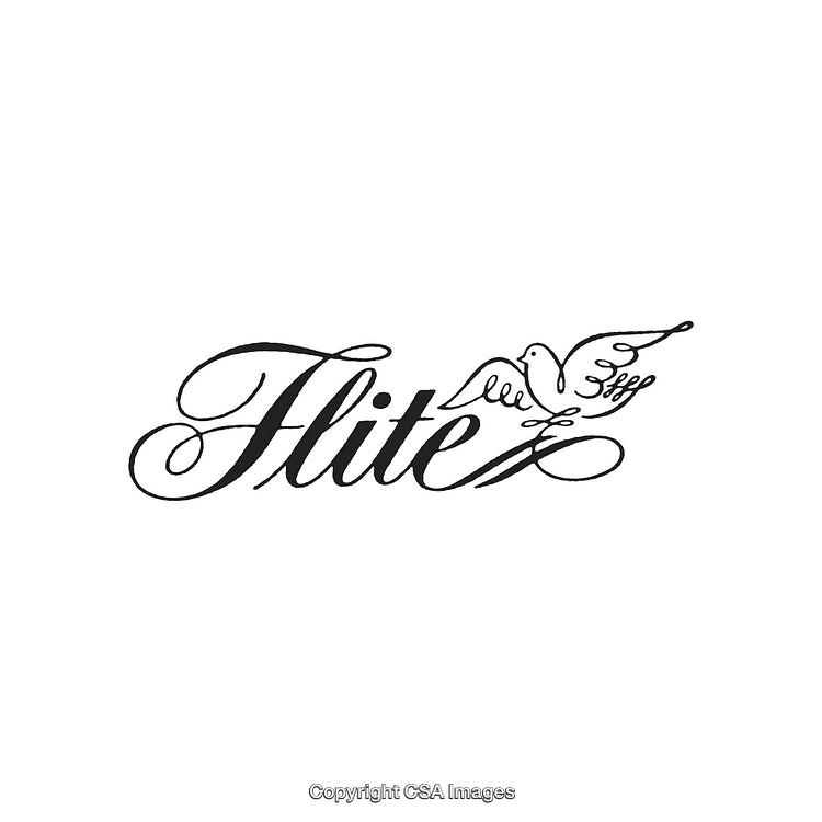 Elegant Script Logo with Flying Bird and Sophisticated Typography Design
