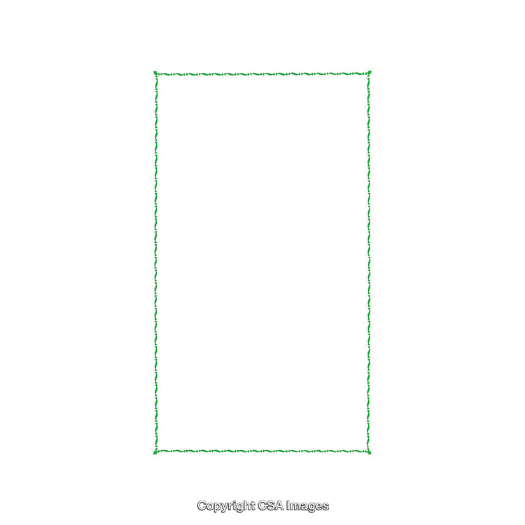 Minimal Green Rectangular Frame on White Background with Delicate Border Design