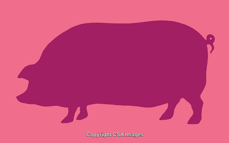 Pig Silhouette in Purple on Pink Background Modern Line Art Design