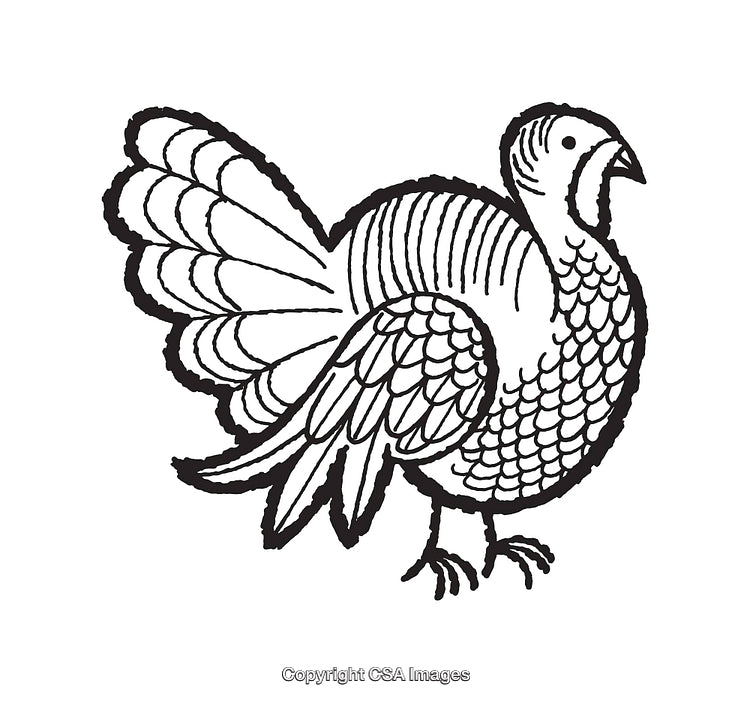 Black and White Line Art Illustration of a Turkey With Detailed Feathers
