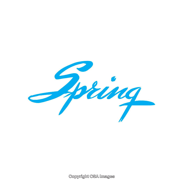 Elegant Calligraphic Script with the Word 'Spring' in Vibrant Blue Tones