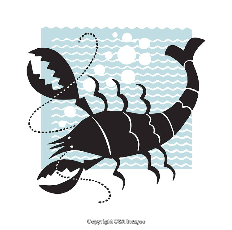 Colorful Illustration of a Scorpion Featuring a Decorative Marine Background