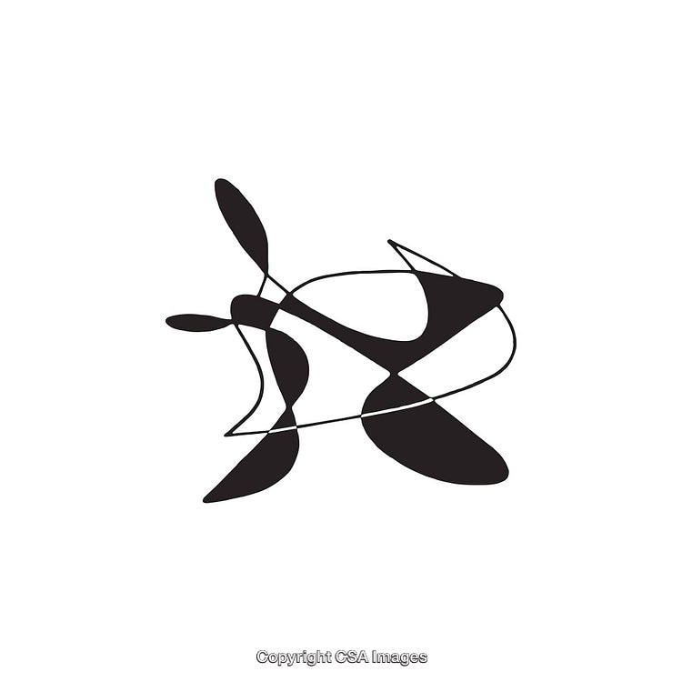 Abstract Black and White Graphic with Unique Curved and Angular Shapes