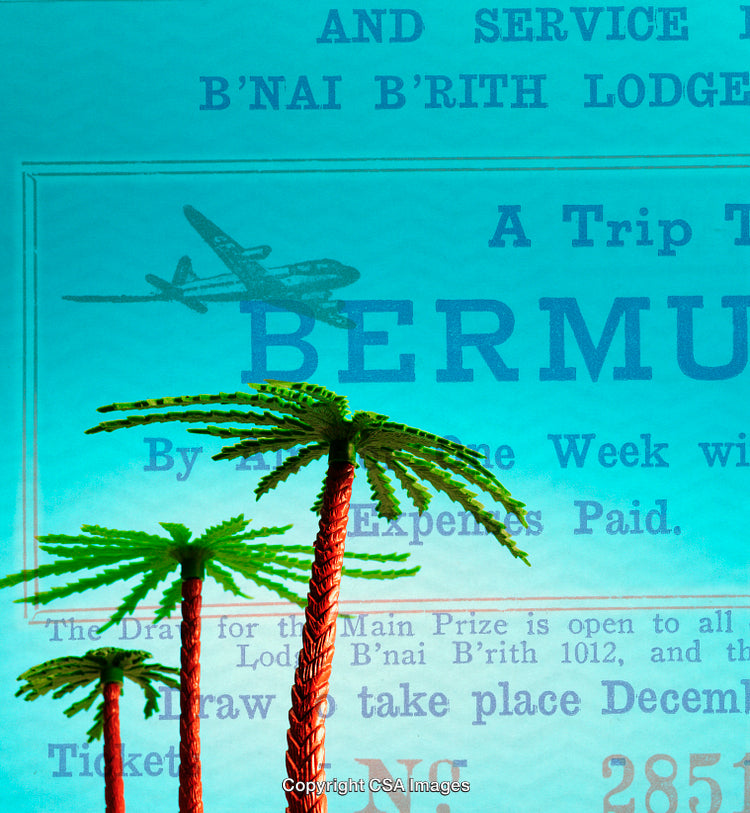 Palm Trees Over Tropical Bermuda-Themed Background with Vintage Travel Poster