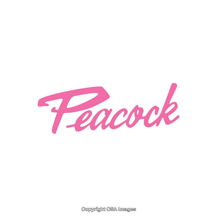 Pink Script Typography Displaying the Word 'Peacock' on White Background
