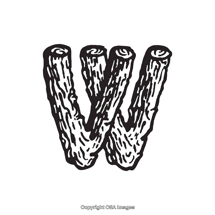Illustrated Textured Letter W Shaped from Organic Wooden Branches Design