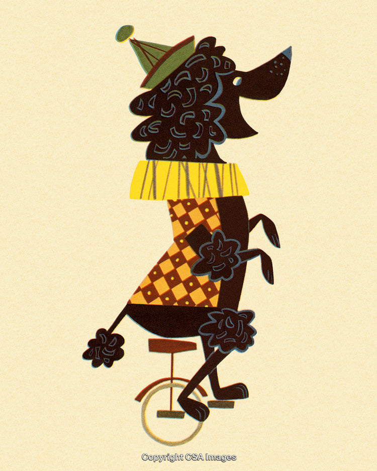 Colorful Illustration of a Circus Poodle Riding a Unicycle with Party Hat