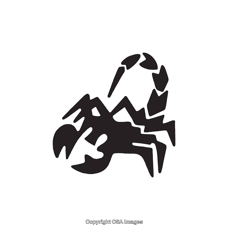 Stylized Black and White Scorpion Icon Design