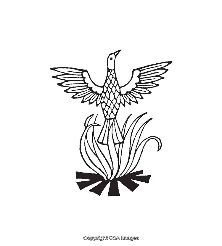 Black And White Line Art of Bird With Spread Wings and Grass