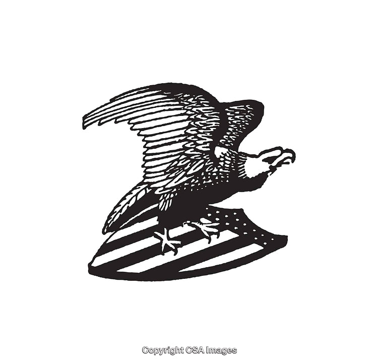 Black And White Line Art of an Eagle Holding a Shield